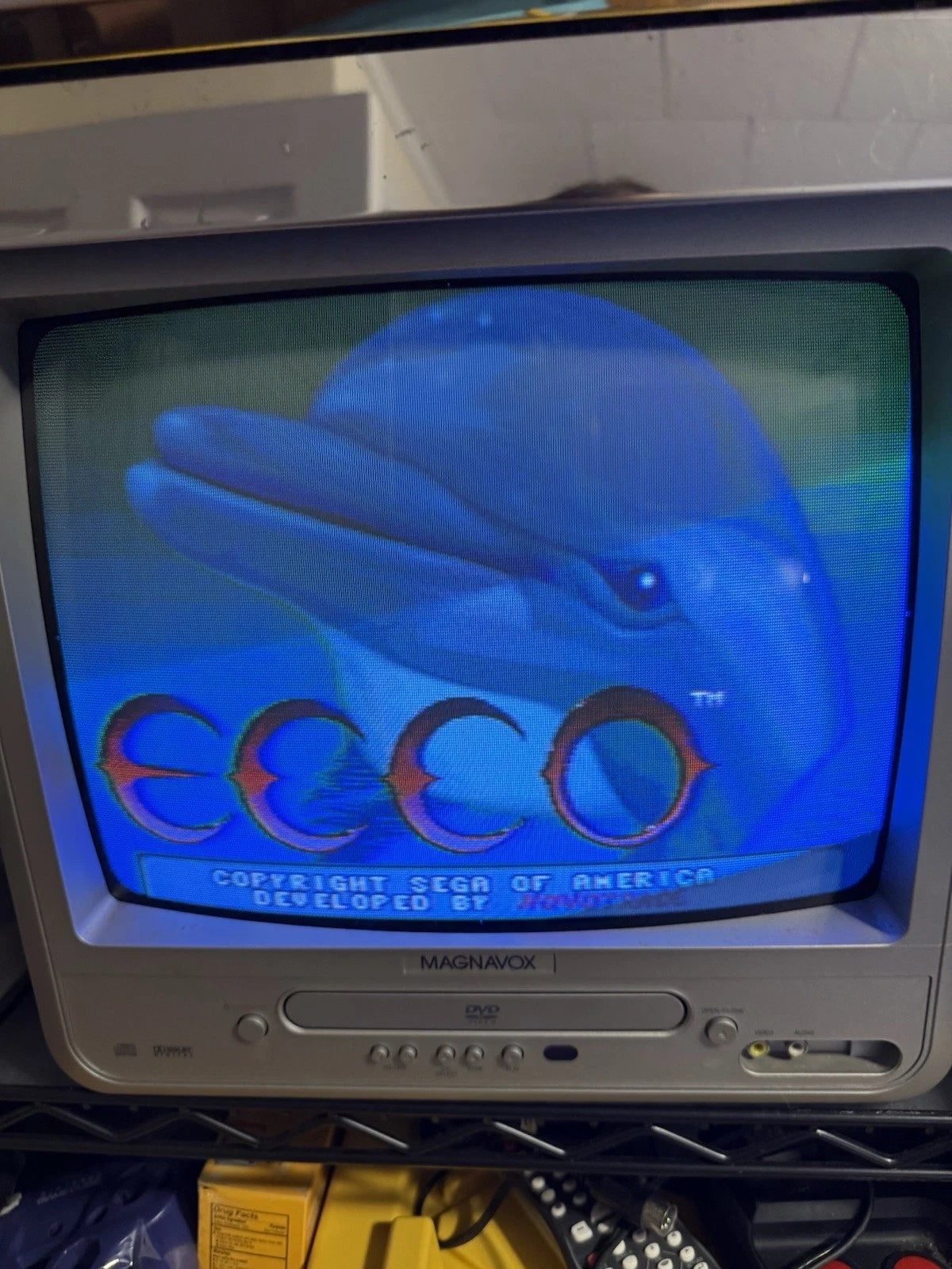 Ecco the Dolphin (CIB)