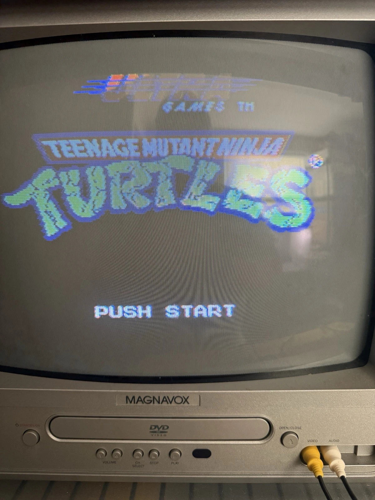 Teenage Mutant Ninja Turtles