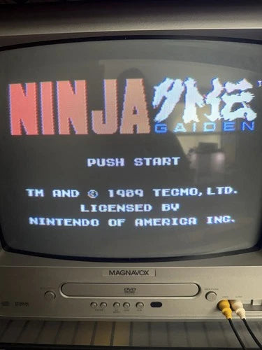 Ninja Gaiden