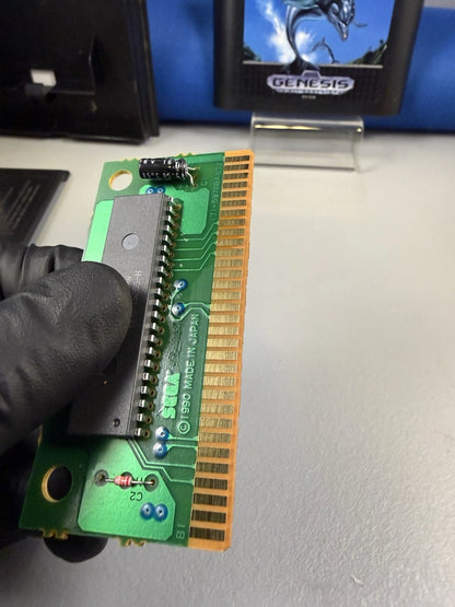 Ecco the Dolphin (CIB)