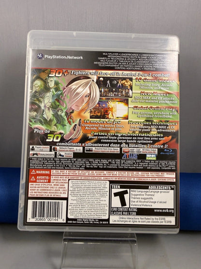 The King of Fighters XIII (CIB)