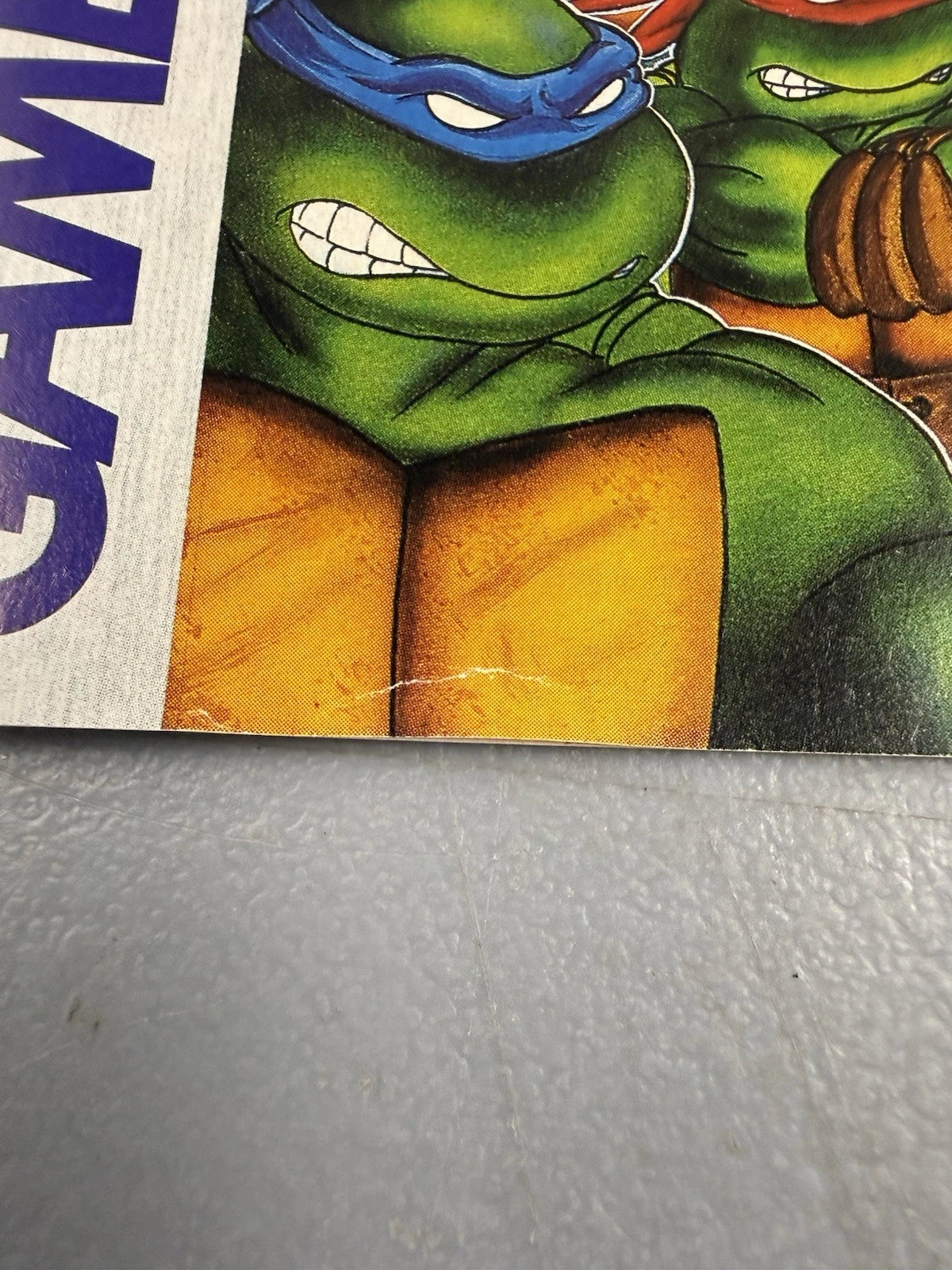Teenage Mutant Ninja Turtles II: Back From the Sewers (CIB)