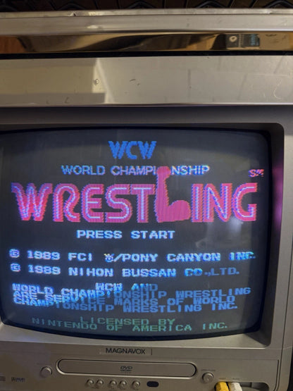 WCW World Championship Wrestling