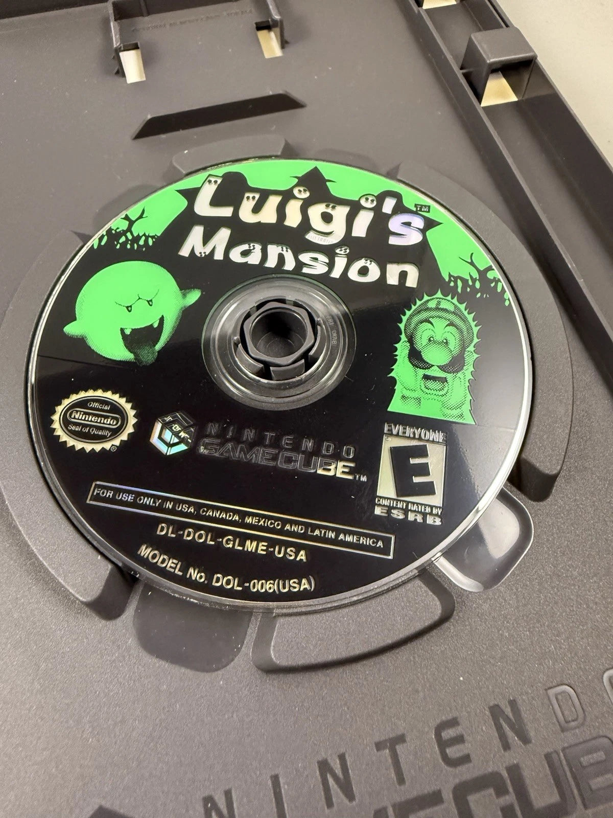 (CIB) Luigi's Mansion