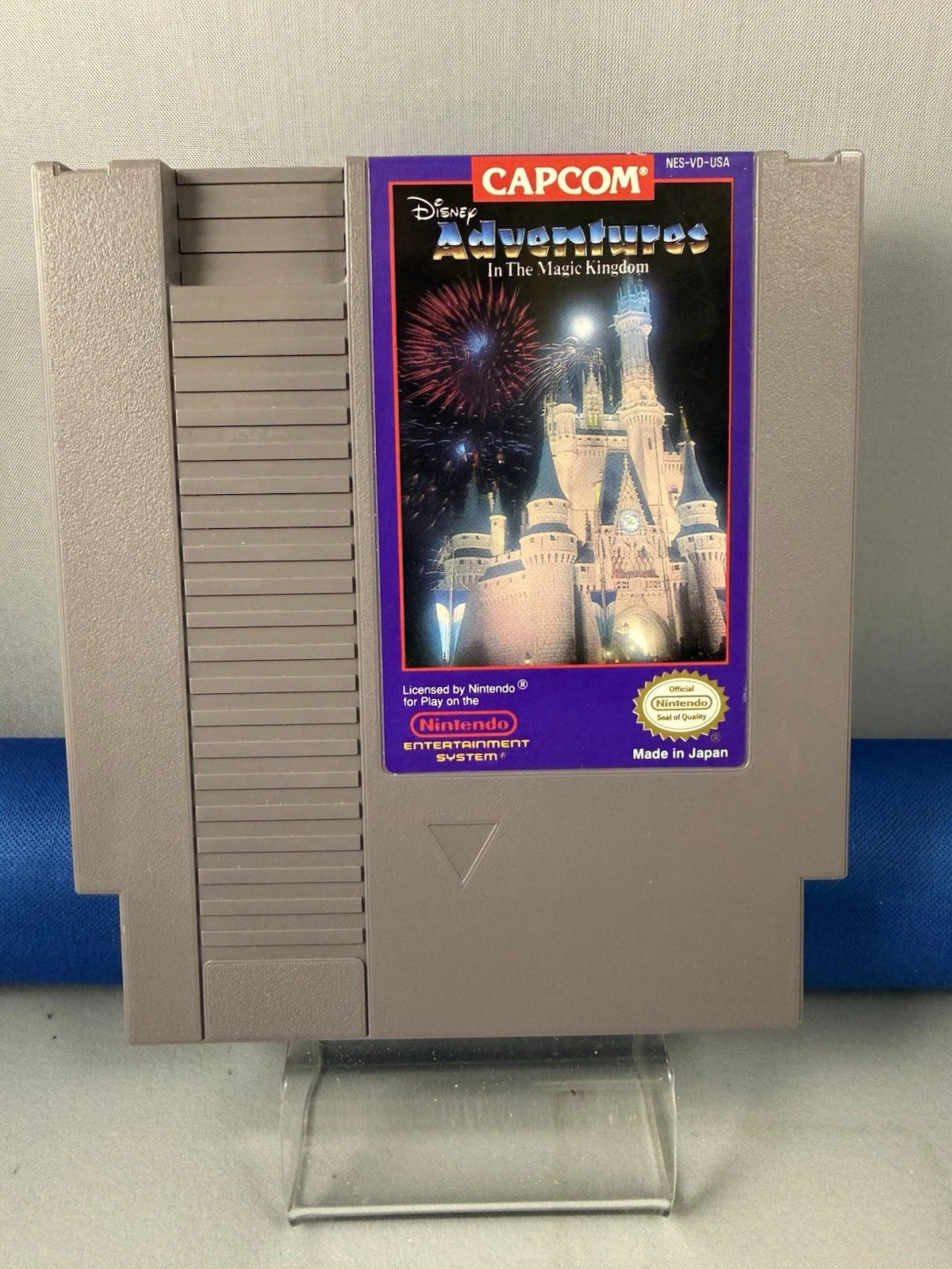 Adventures in the Magic Kingdom