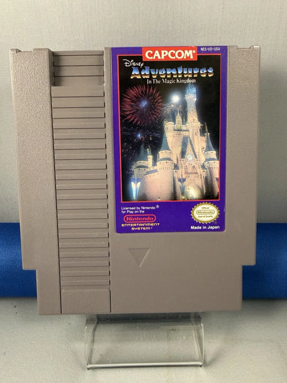 Adventures in the Magic Kingdom
