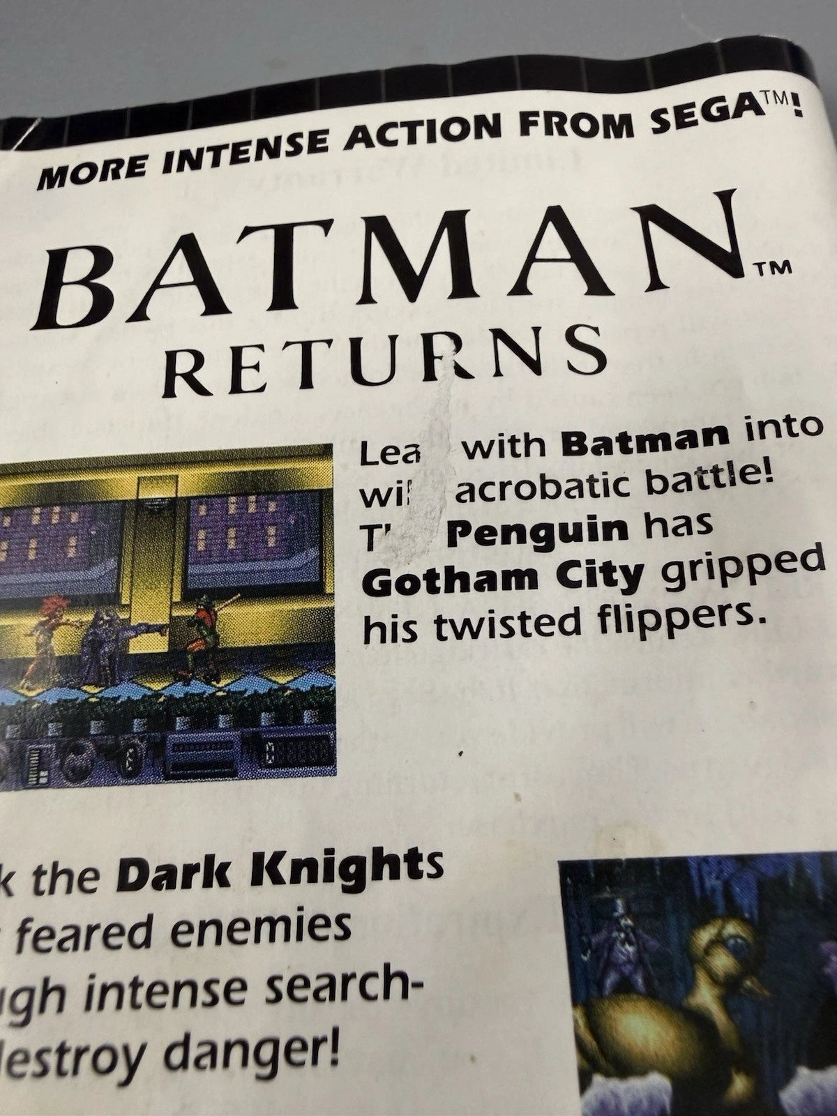 Ecco the Dolphin (CIB)