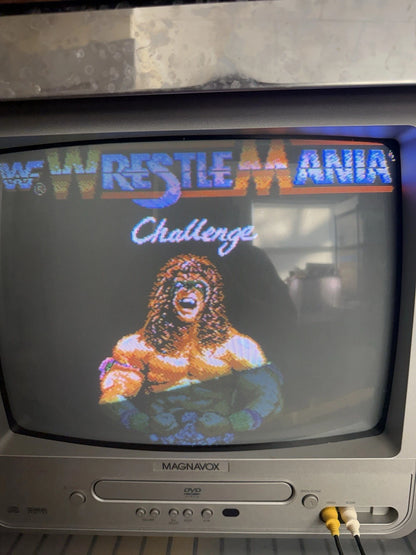 WWF WrestleMania Challenge