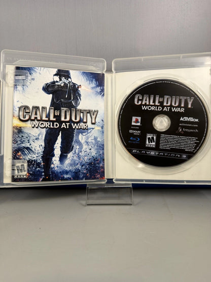 Call of Duty: World at War (CIB)