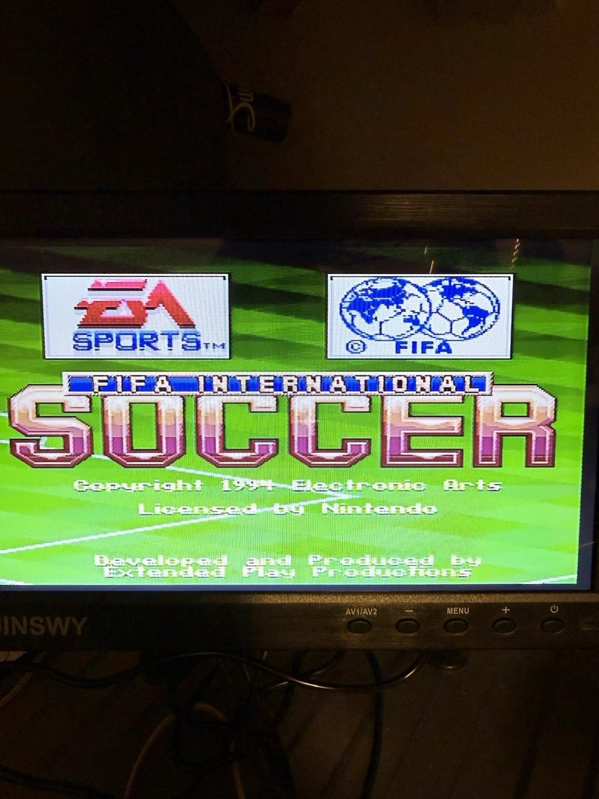 FIFA International Soccer