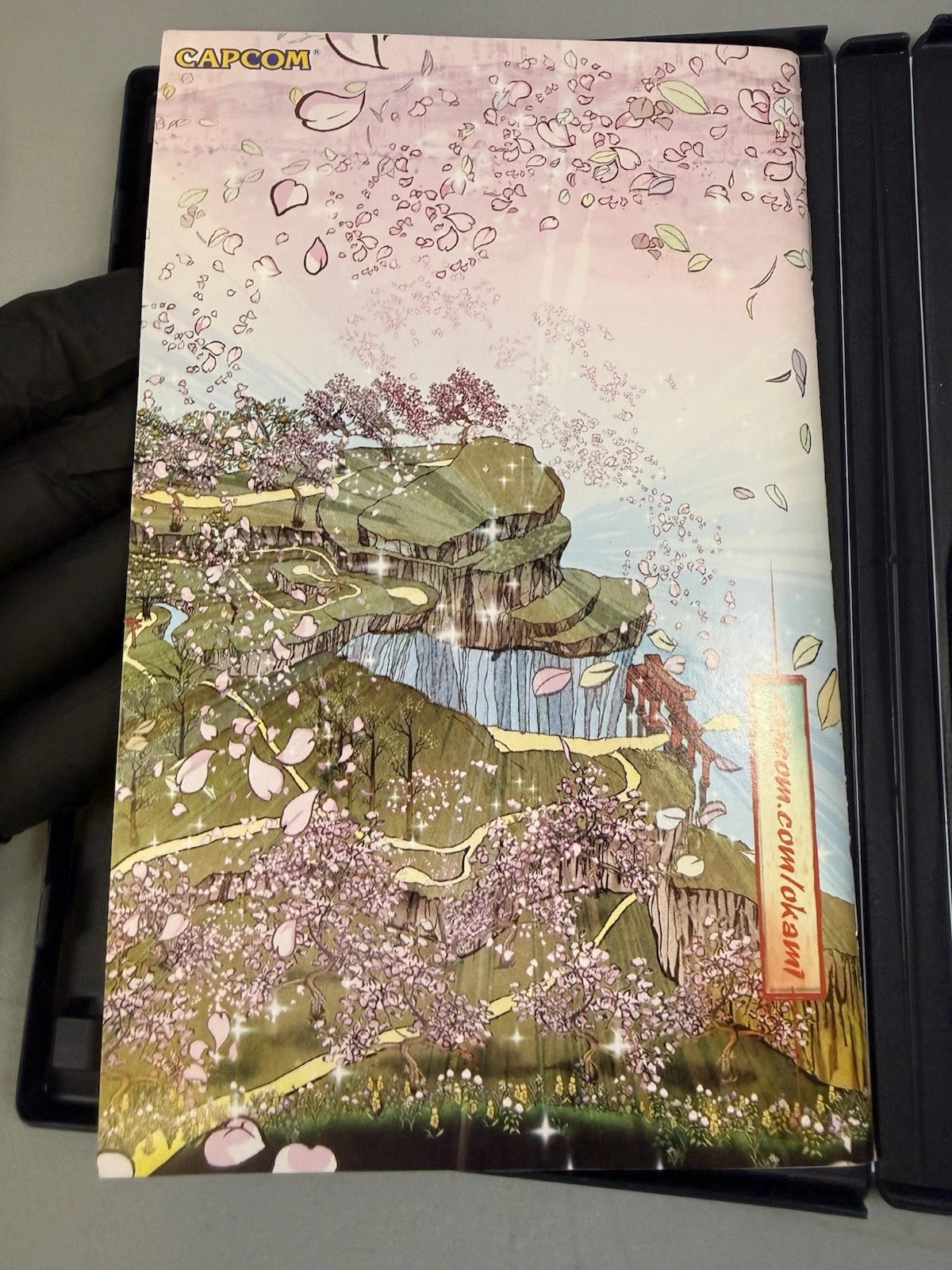 Okami (CIB)