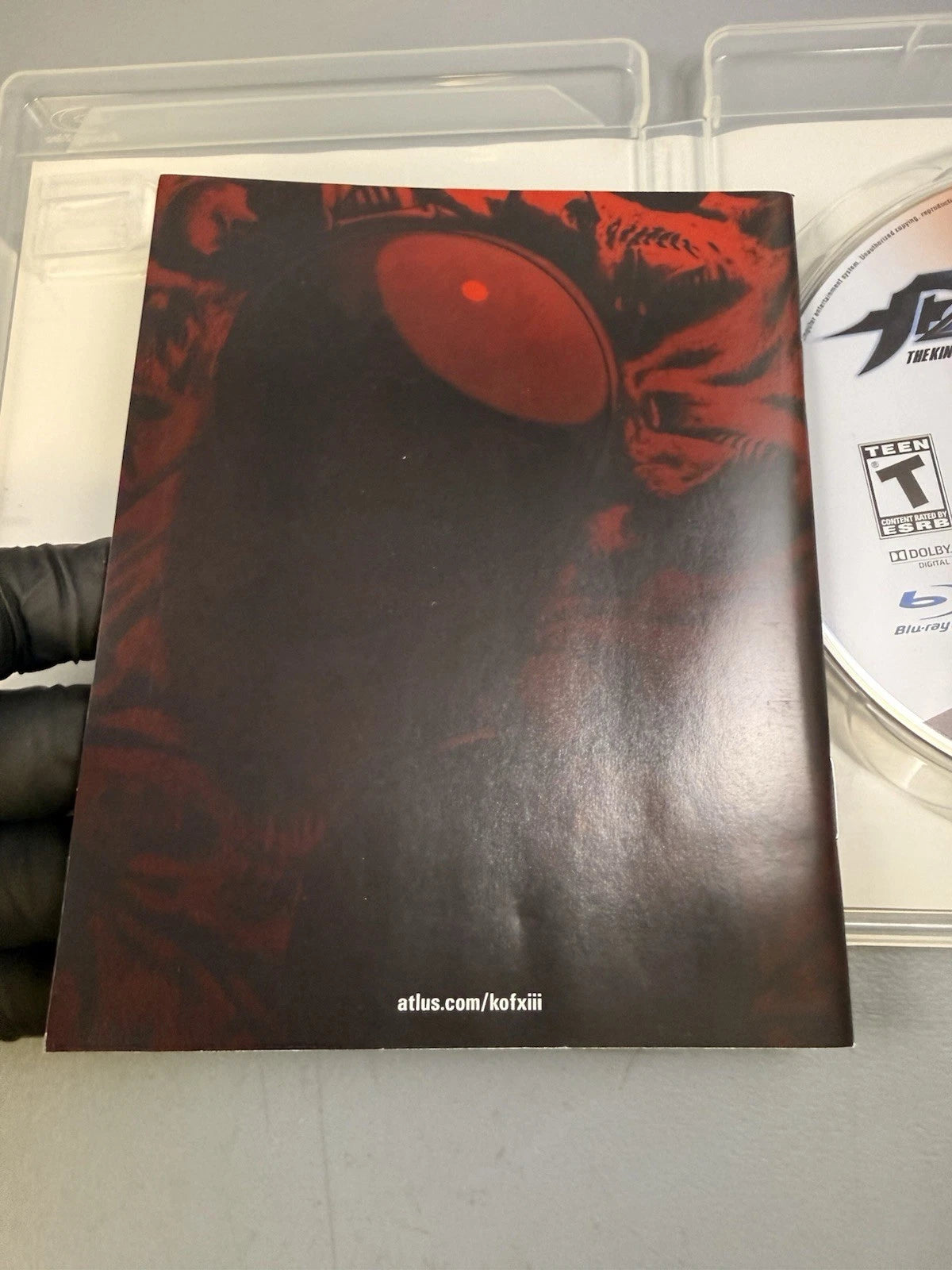 The King of Fighters XIII (CIB)