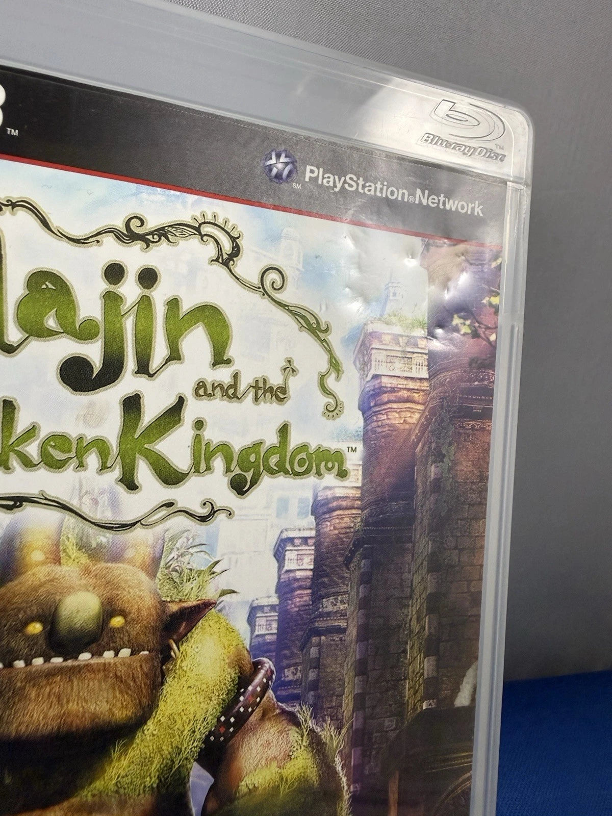 Majin and the Forsaken Kingdom (CIB)