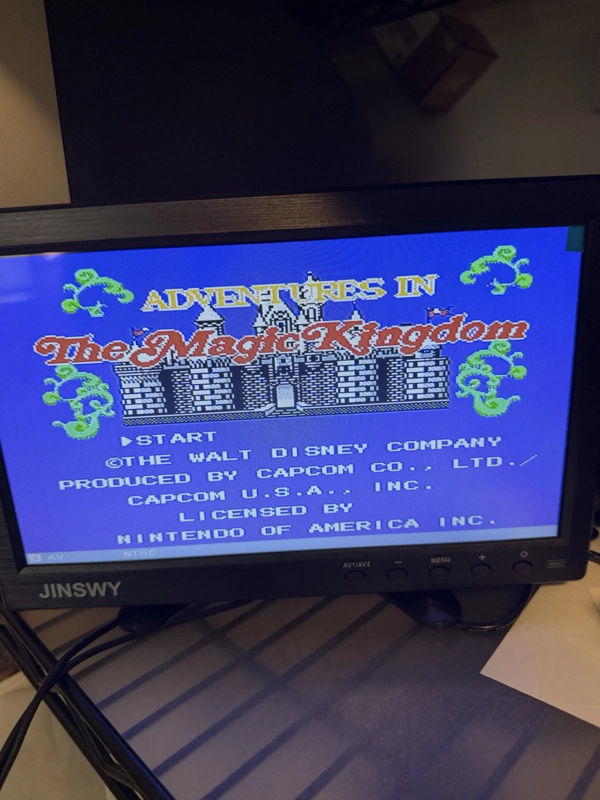 Adventures in the Magic Kingdom
