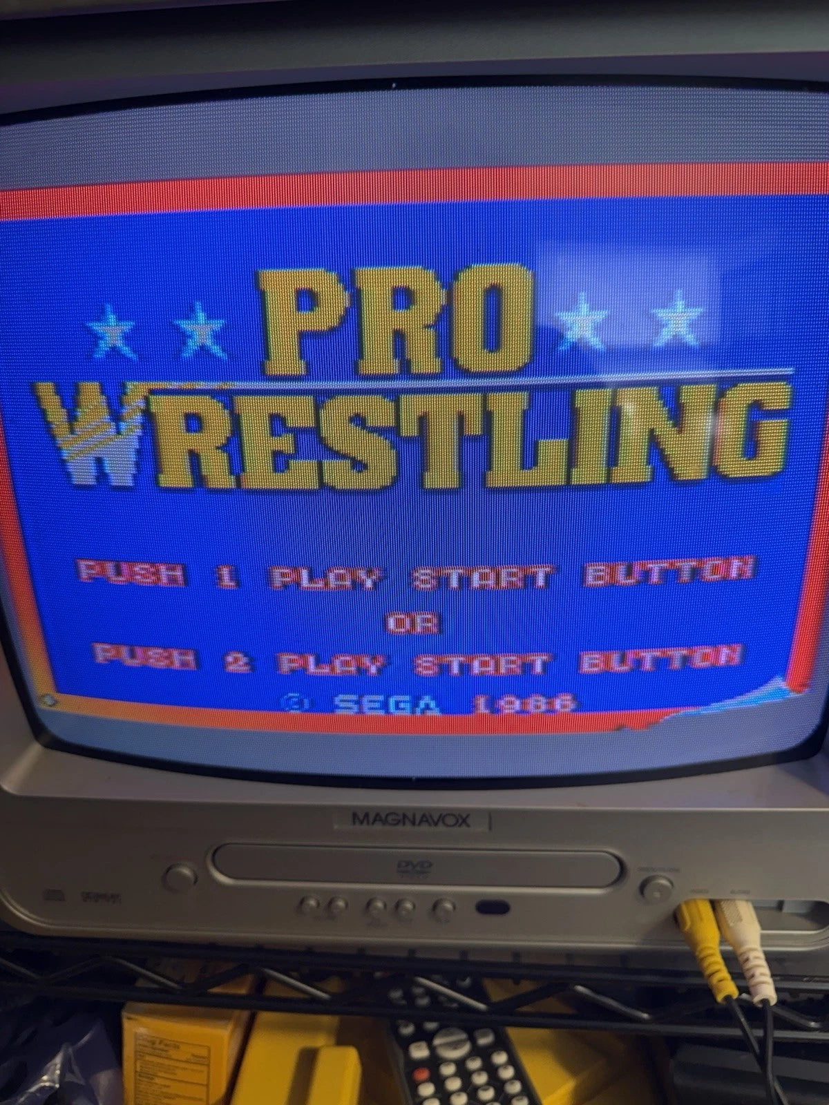 Pro Wrestling