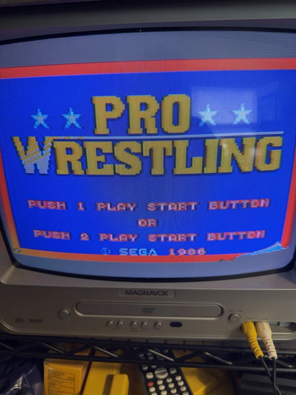 Pro Wrestling