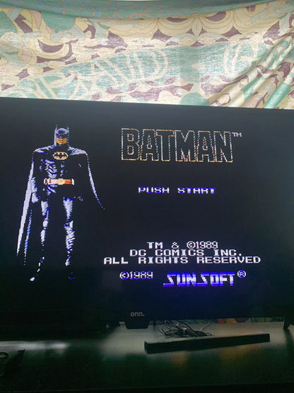 Batman The Video Game